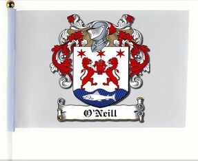 O' Neill family crest flag