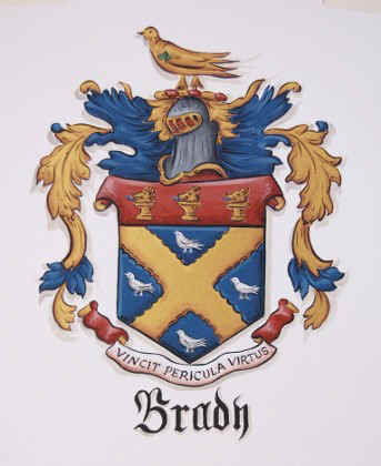 Brady Coat of Arms painting watercolor paper