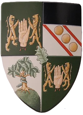Custom medieval shield