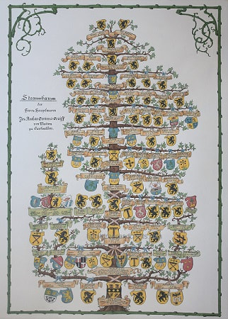 Coat of Arms shields, family tree painting -  13 generation