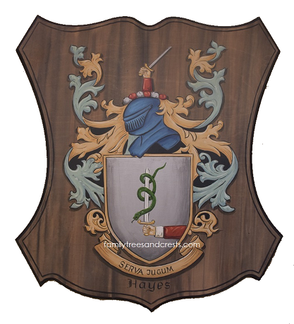 Hayes family crest Coat of Arms wall plaque 