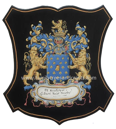 Coat of Arms painting wooden plaque