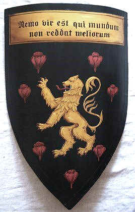 Knight shield - lion