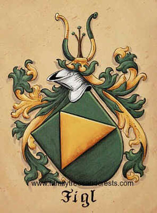 Coat of Arms painting Figl