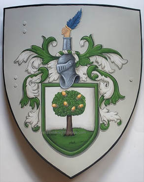 Flanigan Coat of Arms combat knight shield