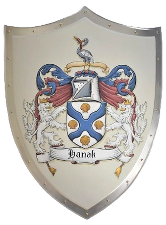 Knight shield with Coat of Arms Hanak