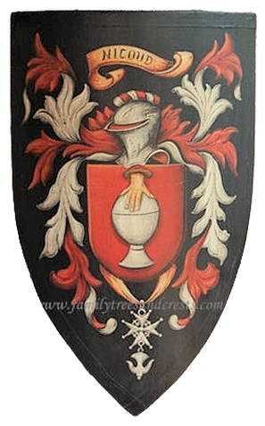 Nicoud  Coat of Arms shield, ​ medieval shield