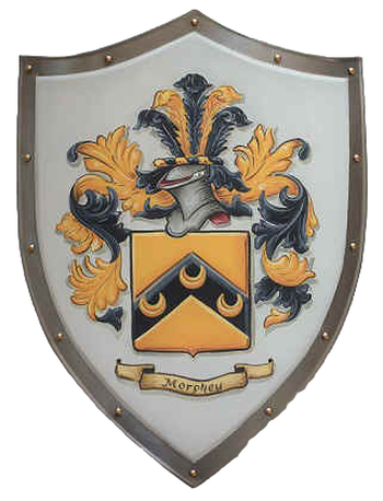 Knight shield with Coat of Arms Morphey