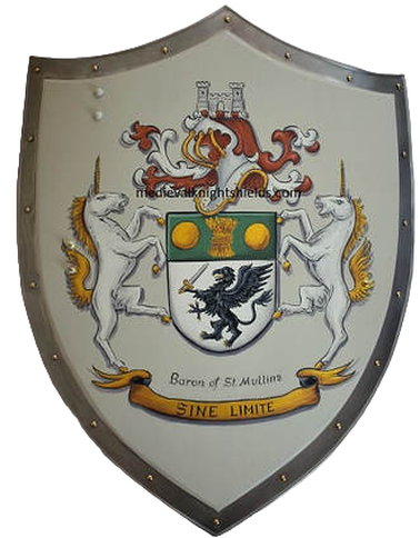 Knight shield Baron of St. Mullins