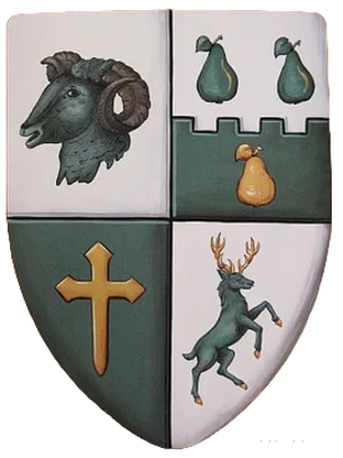 Perry Coat of Arms shield - ​medieval shield 