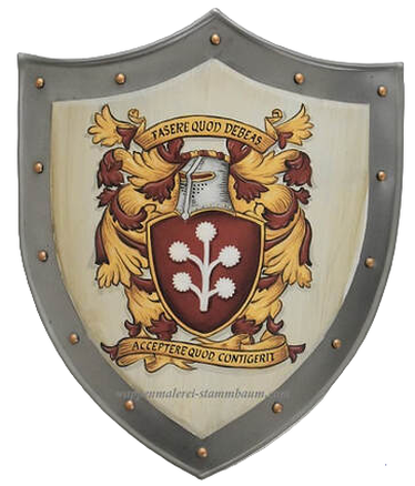 Erikson 11 x 12 inch Coat of Arms shield 