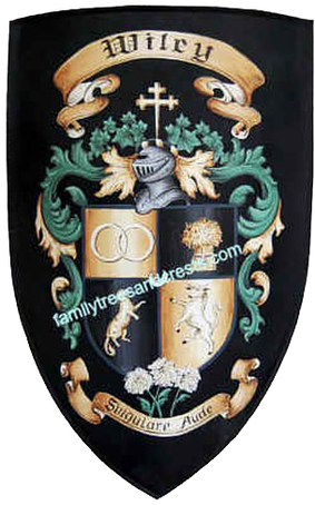 Medieval family shield crest Wiley