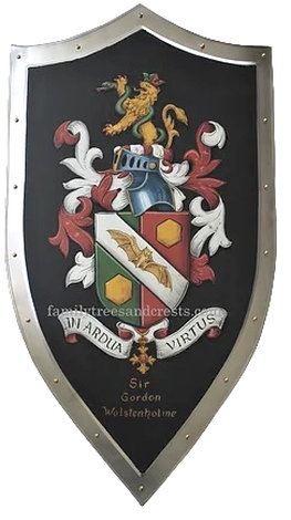 Coat of Arms knight shield w. lion, snake and bat