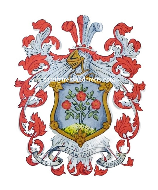 Old style heraldry Coat of Arms painting Rooseveld 