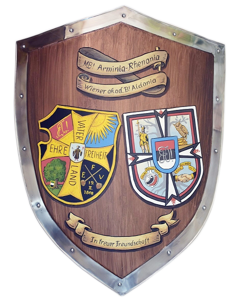 University- School Arminia alliance knight shield