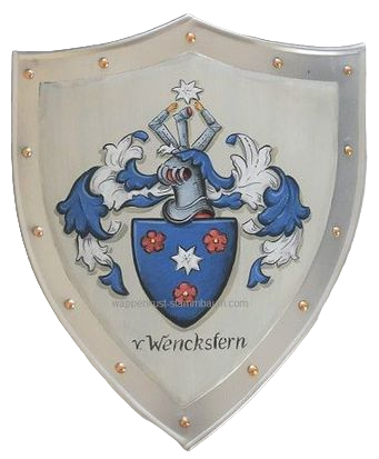 Metal knight shield - Wenkstern Coat of Arms shield